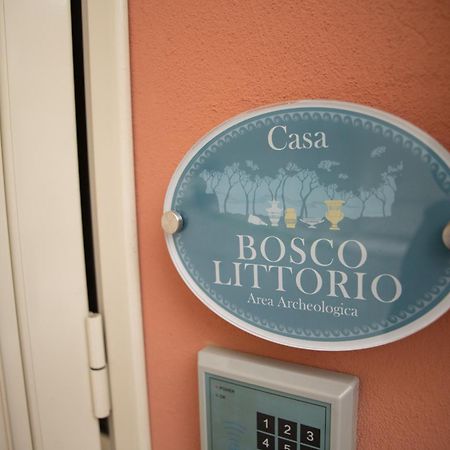 Le Dimore Di Ulisse A Gela - Casa Vacanze B&B - Bosco Littorio - Area Archeologica ภายนอก รูปภาพ